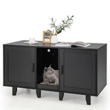 2‑Door Cat Litter Box Enclosure with Winding Entry & Scratching Board — Modern Black