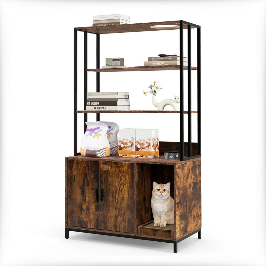 Bookshelf with a cat sitting inside on a white background